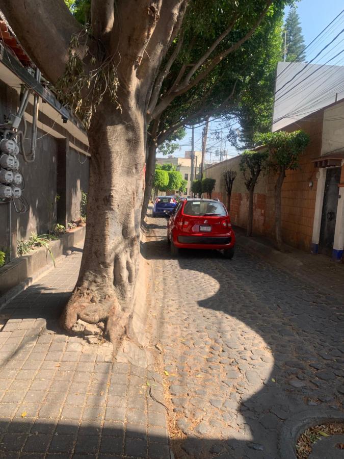 Coyoacan Magico Mexico by Eksteriør bilde